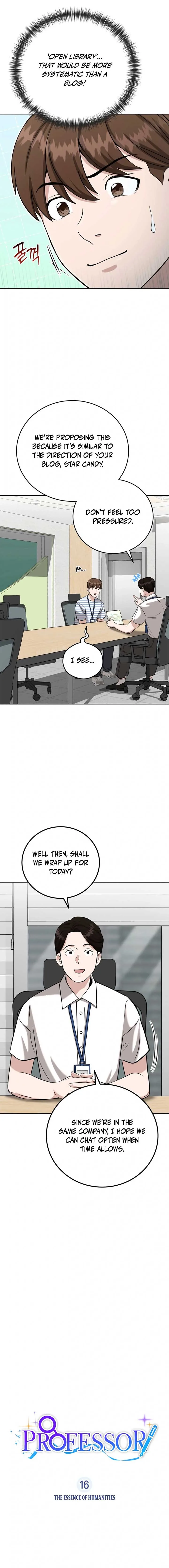 Professor Chapter 16 page 4