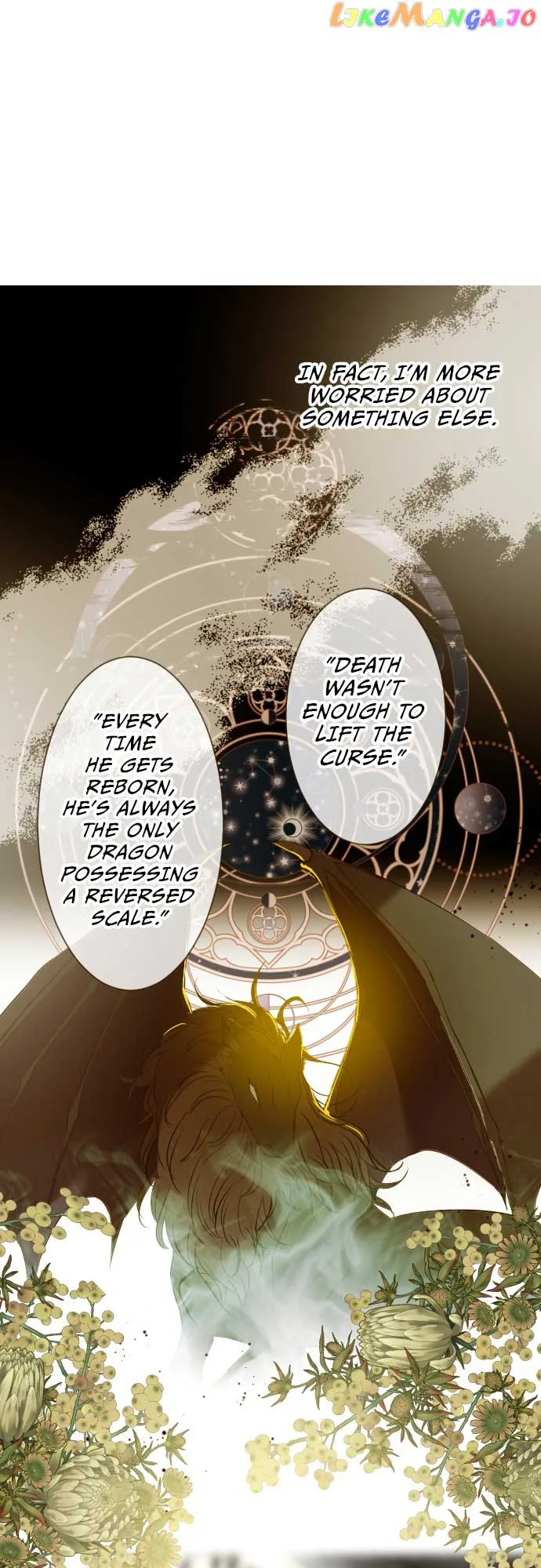 Protected by My Dragon Knight Chapter 134 page 17