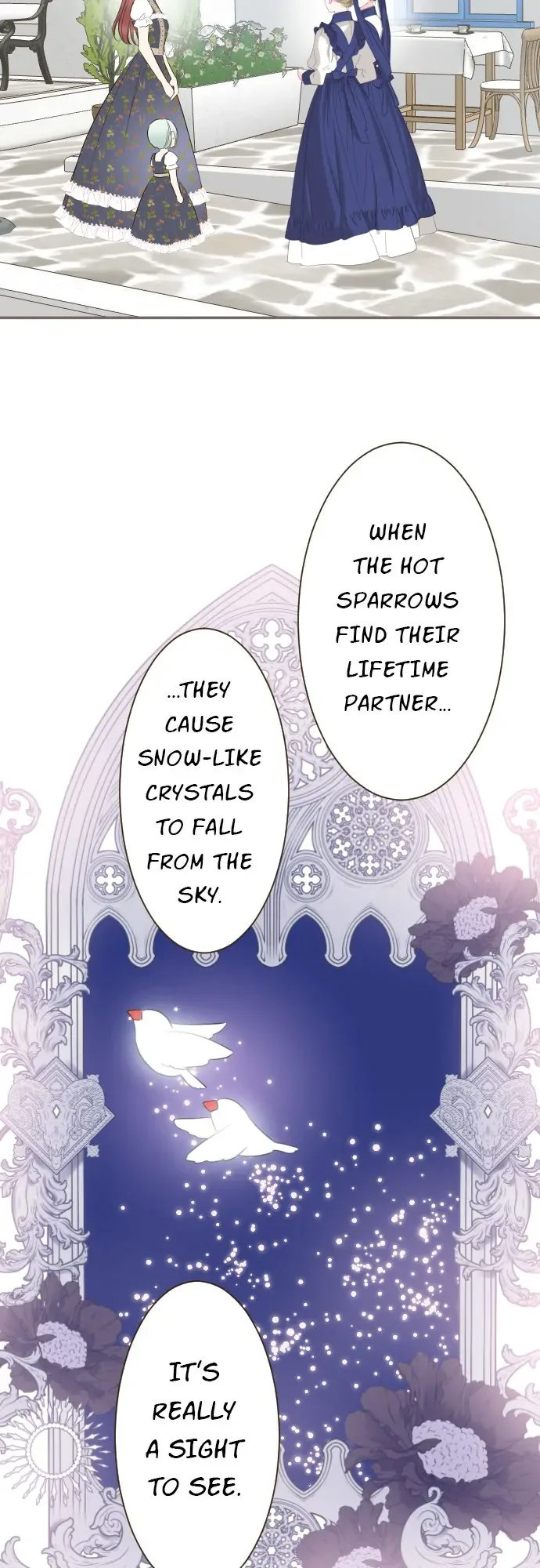 Protected by My Dragon Knight Chapter 139 page 37