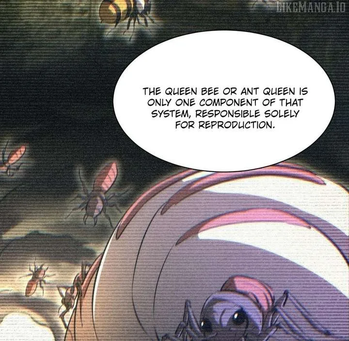 Rebirth in the end times: I reached the top by opening boxes Chapter 70 page 75