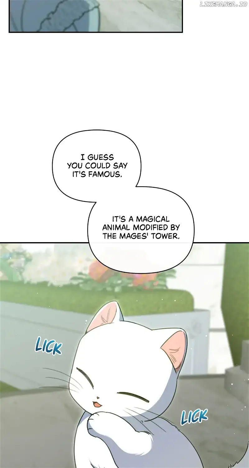 Reforming My Regretful Husband Chapter 56 page 66