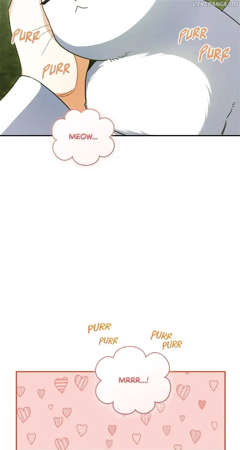 Reforming My Regretful Husband Chapter 56 page 60