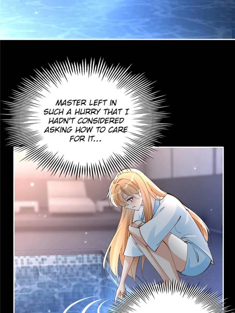 Reincarnation Of The Businesswoman At School Chapter 198 page 12