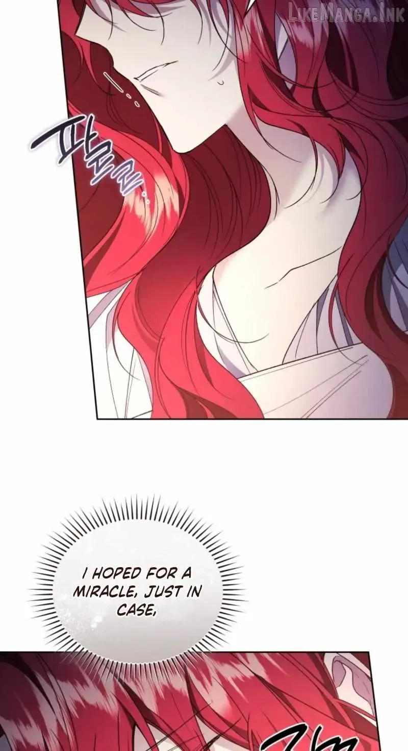 Resetting Lady Chapter 147 page 25