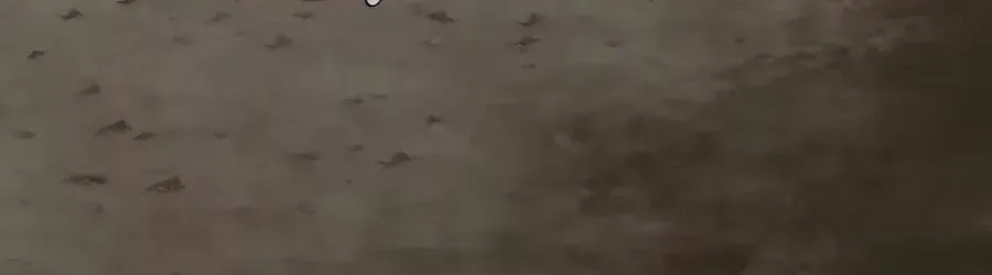 Return of the Bloodthirsty Police Chapter 130 page 94