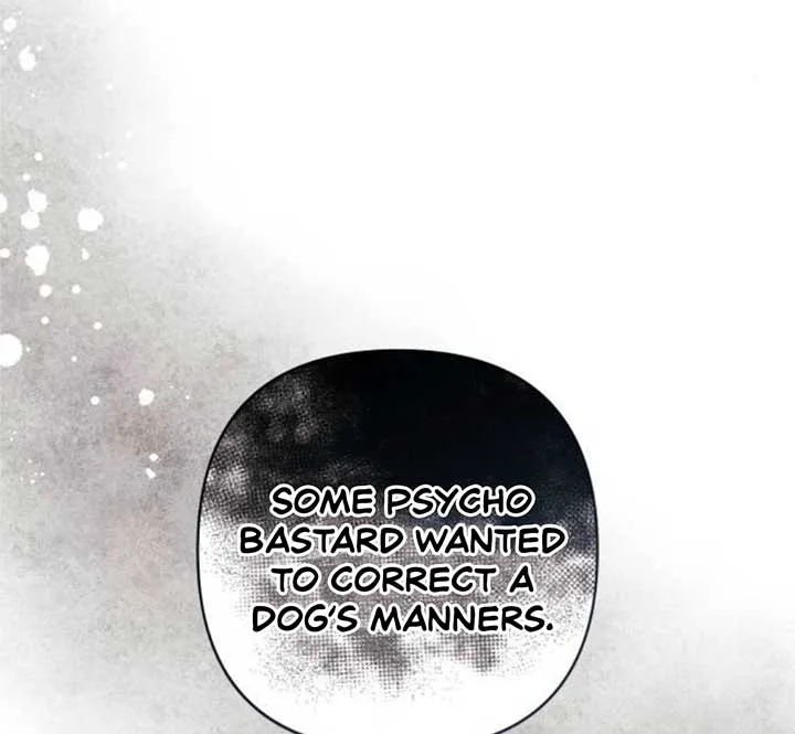 Revelation Of Youth Chapter 83 page 162