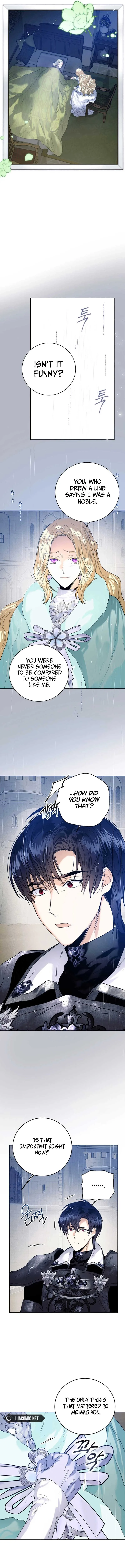 ROYAL MARRIAGE Chapter 78 page 3