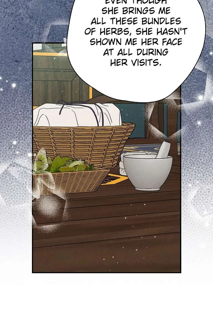 Royal Marriage (2024) Chapter 62 page 46