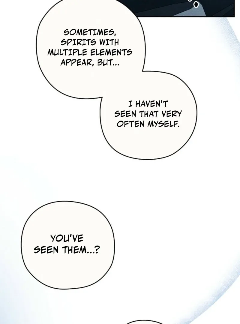 S-Class Spirit Master’s Taming Diary Chapter 46 page 72