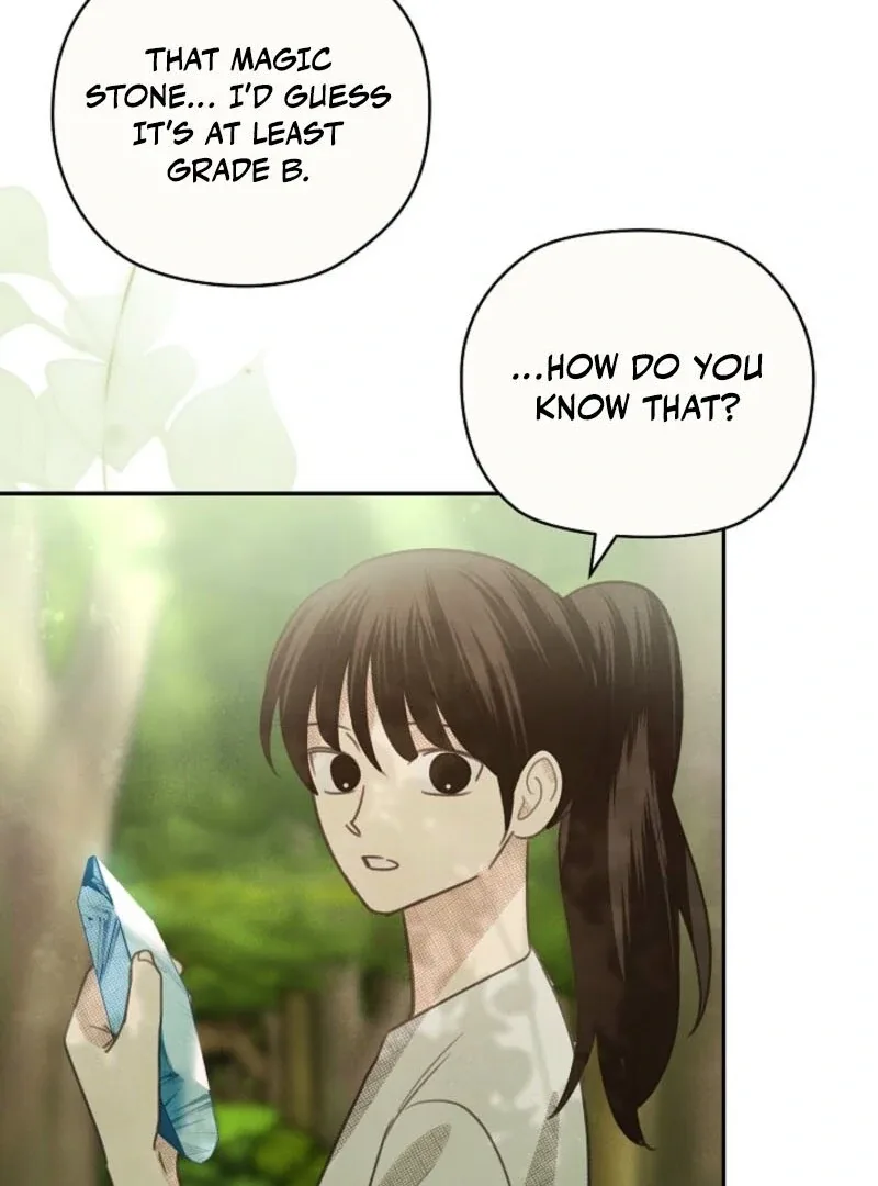 S-Class Spirit Master’s Taming Diary Chapter 48 page 19