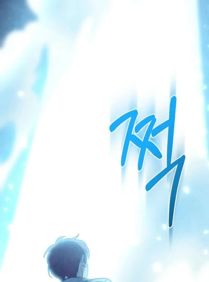 S-Class Spirit Master’s Taming Diary Chapter 50 page 43