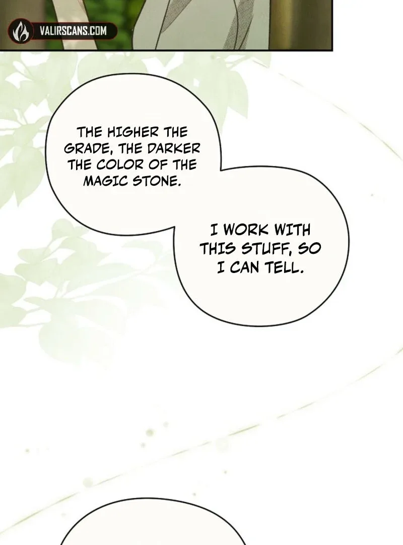 S-Class Spirit Master’s Taming Diary Chapter 48 page 20