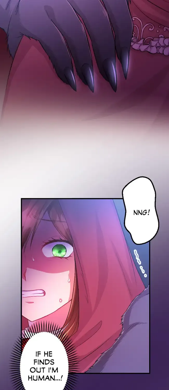 Sacrificed to Be the Beast King’s Bride Chapter 13 page 9