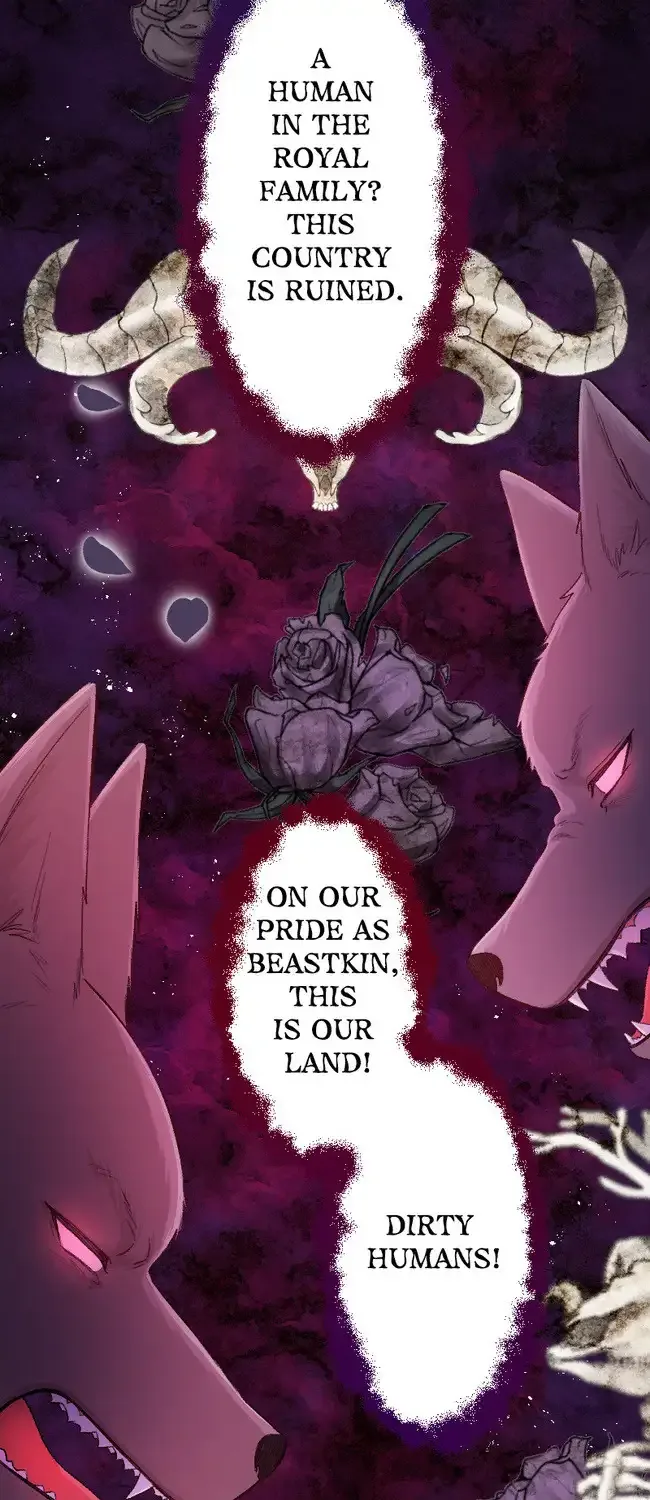 Sacrificed to Be the Beast King’s Bride Chapter 13 page 24