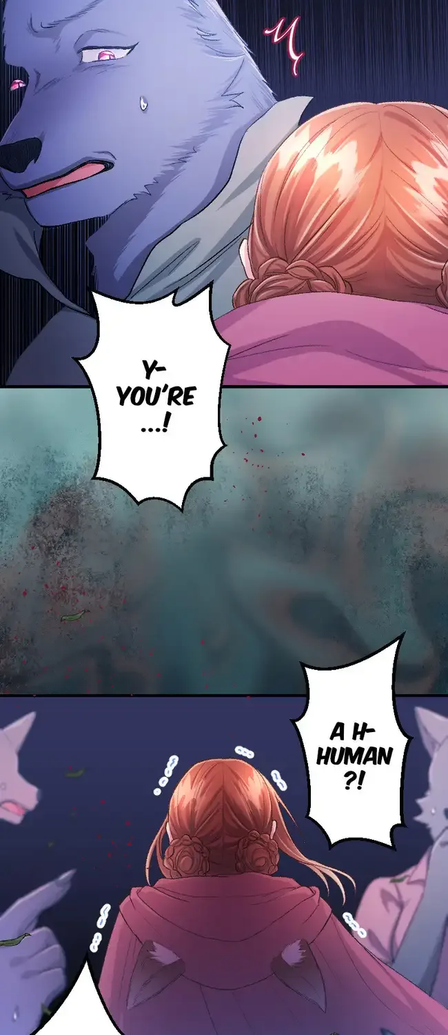 Sacrificed to Be the Beast King’s Bride Chapter 13 page 41