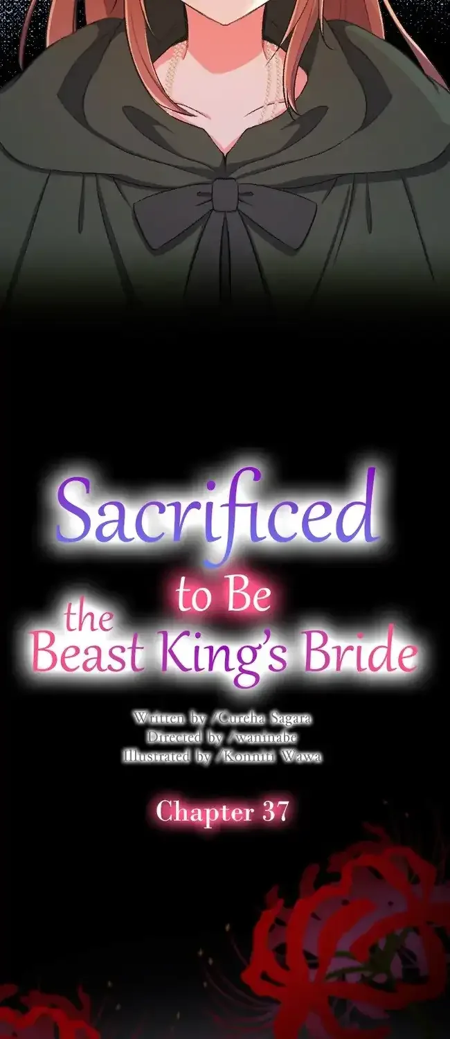 Sacrificed to Be the Beast King’s Bride Chapter 37 page 3