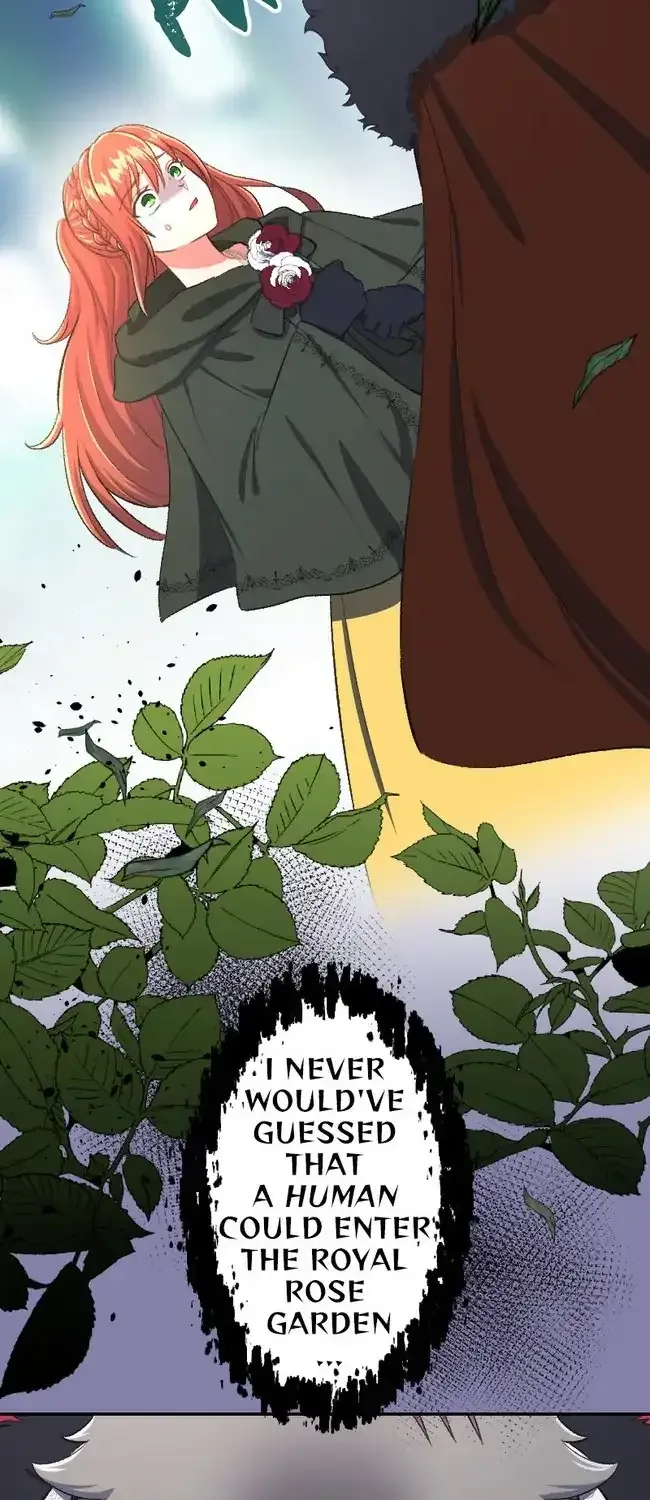 Sacrificed to Be the Beast King’s Bride Chapter 37 page 32