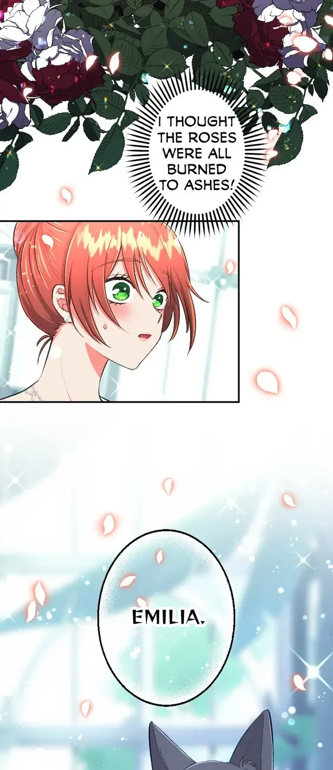 Sacrificed to Be the Beast King’s Bride Chapter 42 page 33