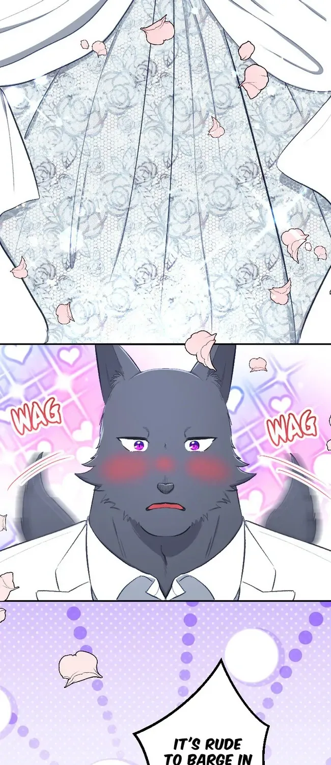 Sacrificed to Be the Beast King’s Bride Chapter 42 page 25