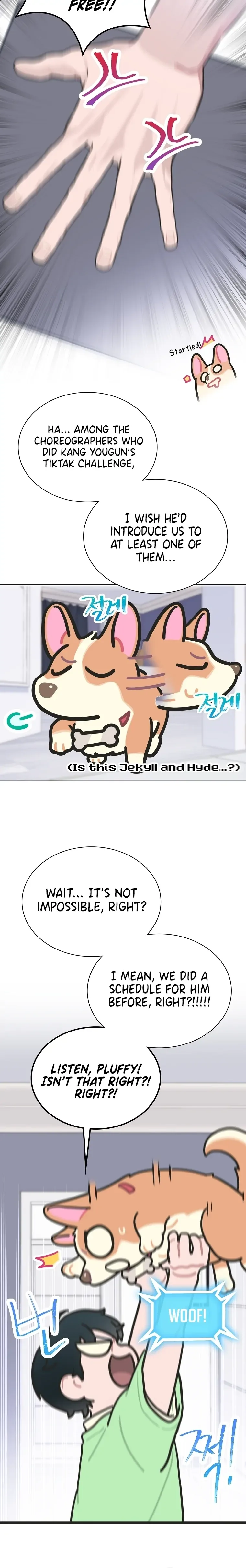 Saving the Doomed Idols With My Touch Chapter 26 page 17
