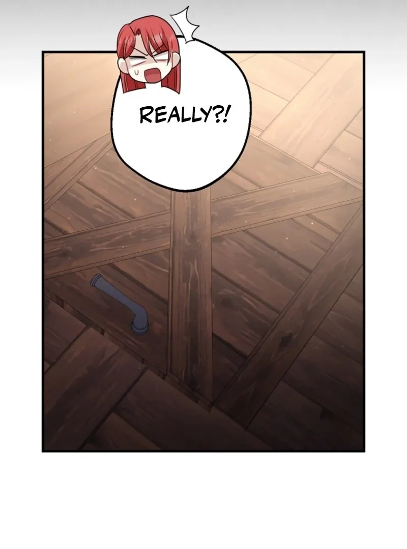 Screw the Noble Life, I’m Going Home Chapter 66 page 66