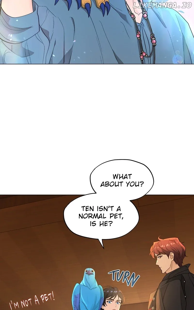 Seabird and the Wolf Chapter 11 page 42
