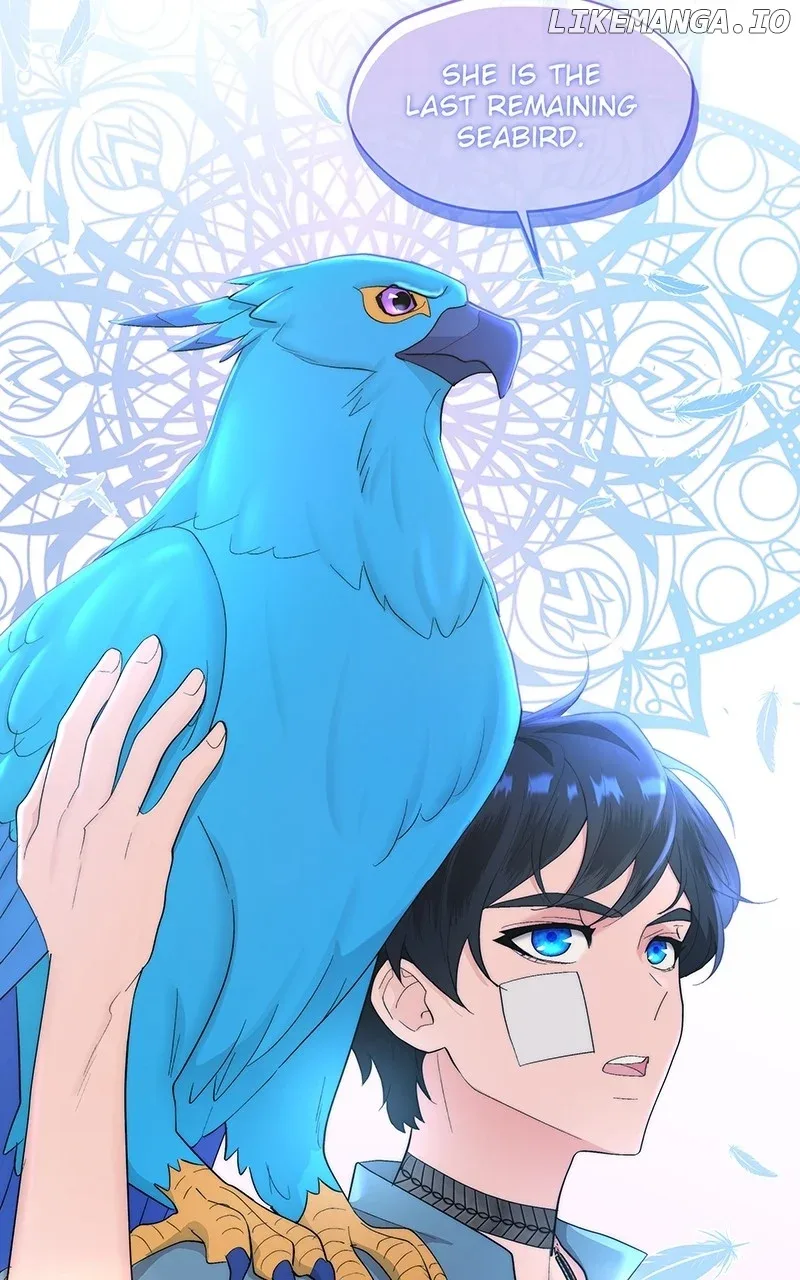 Seabird and the Wolf Chapter 11 page 41