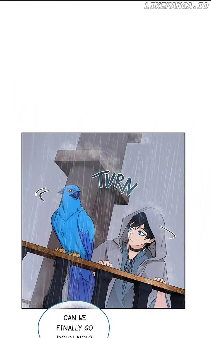 Seabird and the Wolf Chapter 13 page 43