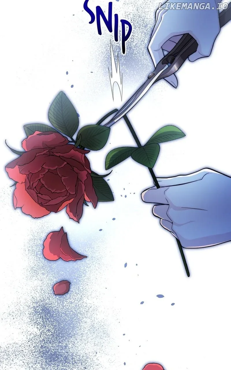 Seabird and the Wolf Chapter 36 page 31