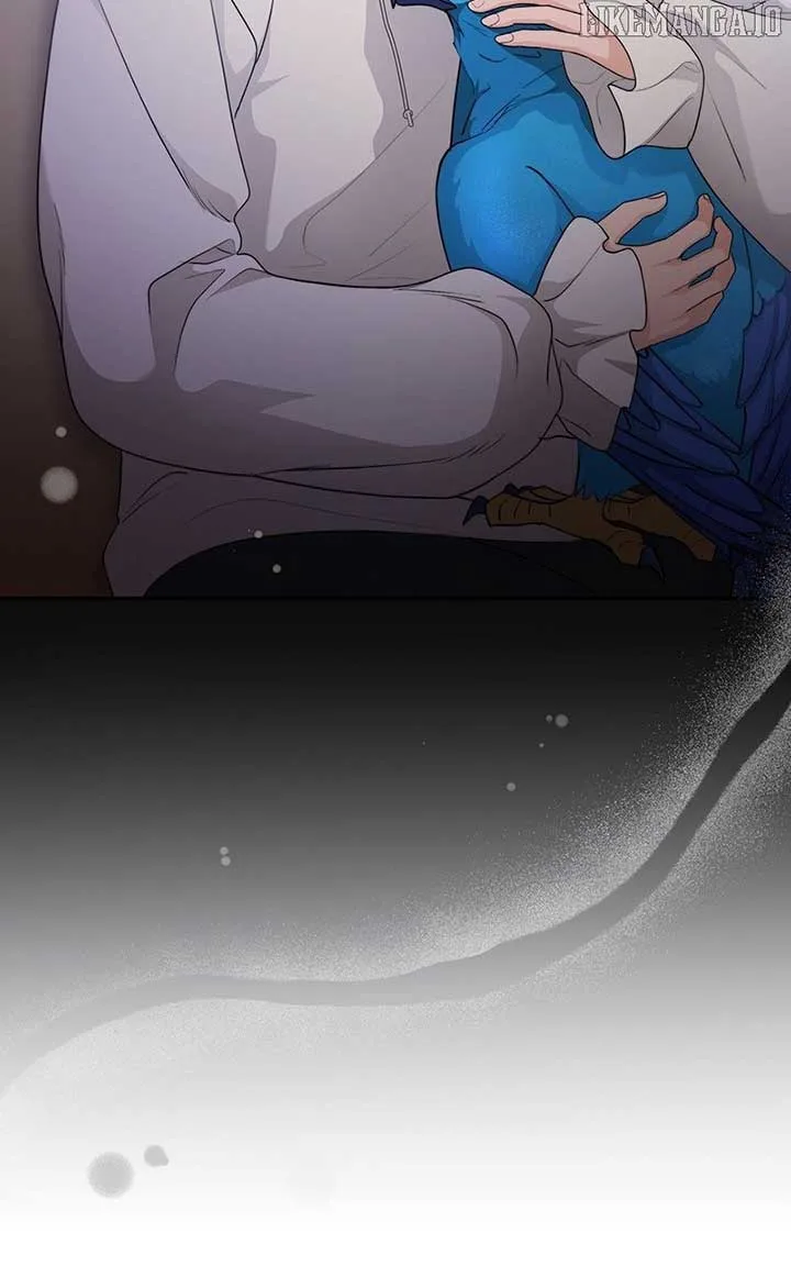 Seabird and the Wolf Chapter 45 page 66