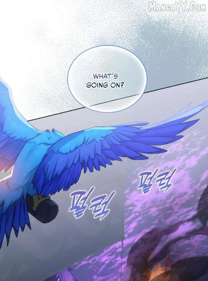 Seabird and the Wolf Chapter 66 page 97