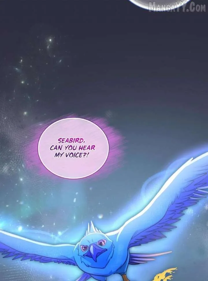 Seabird and the Wolf Chapter 66 page 72