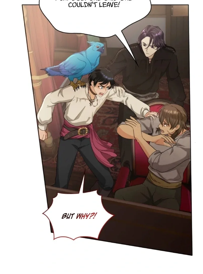 Seabird and the Wolf Chapter 68 page 47
