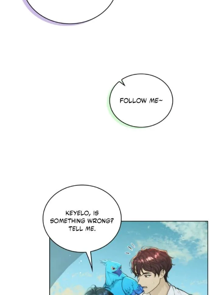Seabird and the Wolf Chapter 70 page 70