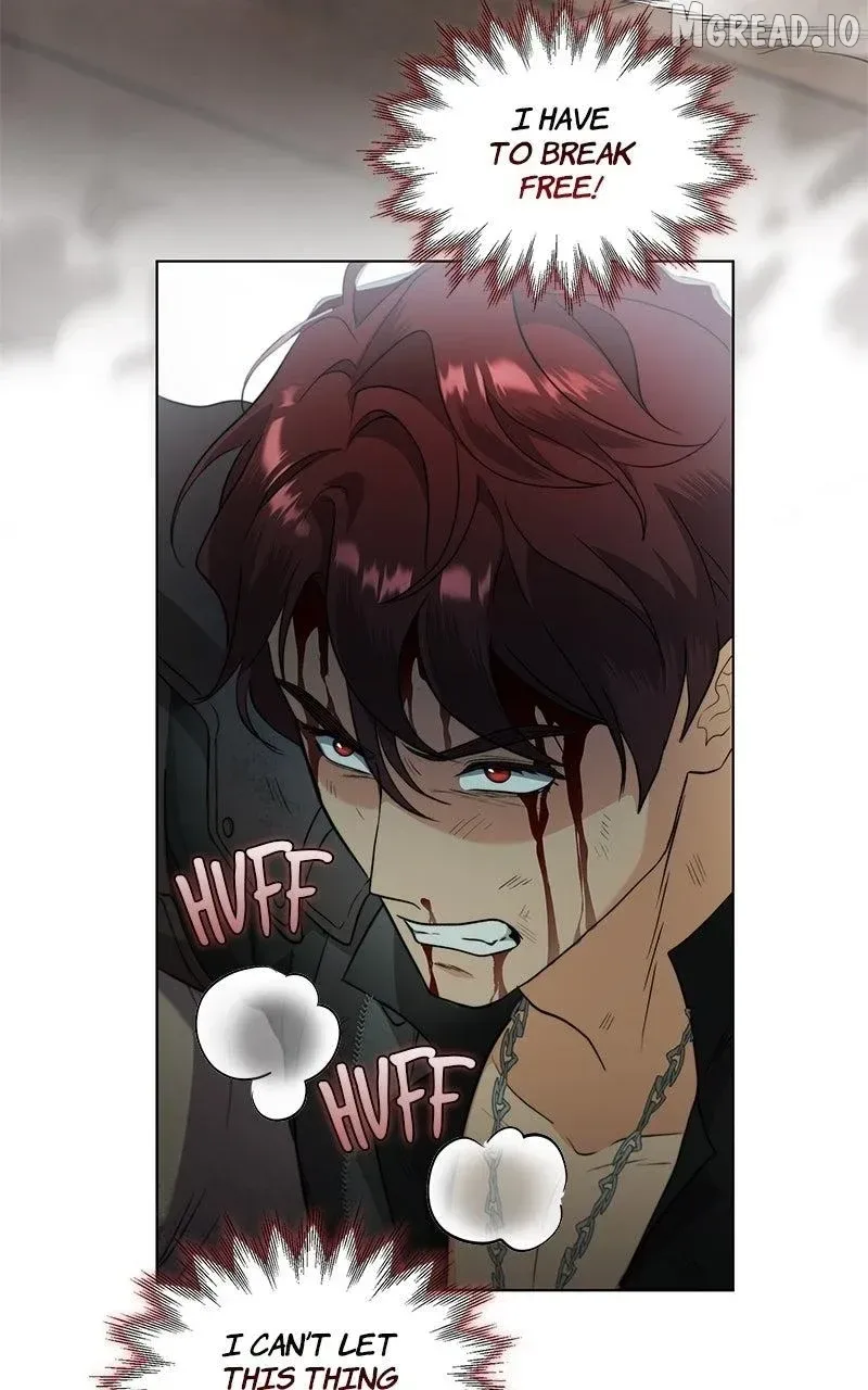 Seabird and the Wolf Chapter 82 page 67