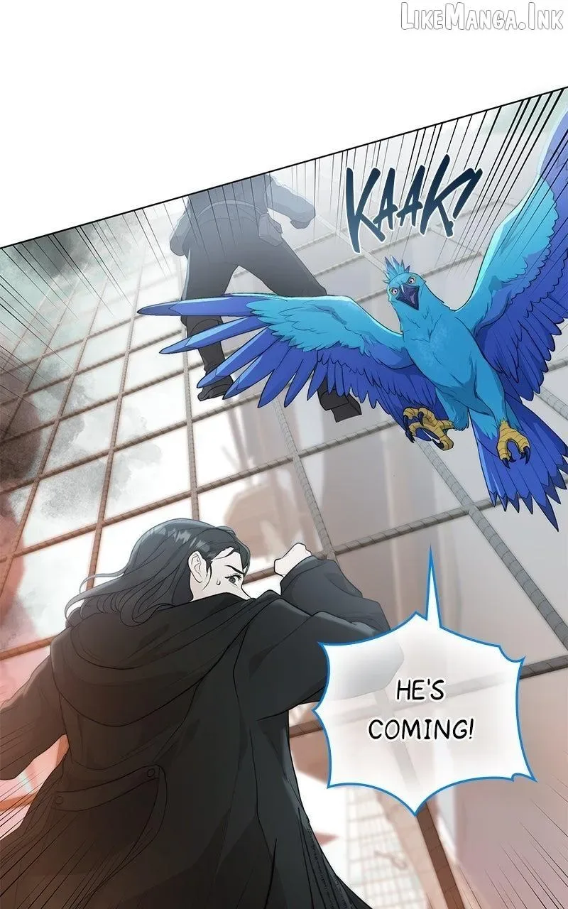 Seabird and the Wolf Chapter 87 page 55