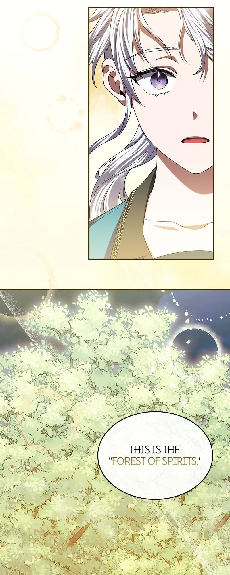 She No Longer Wields Her Sword Chapter 51 page 39