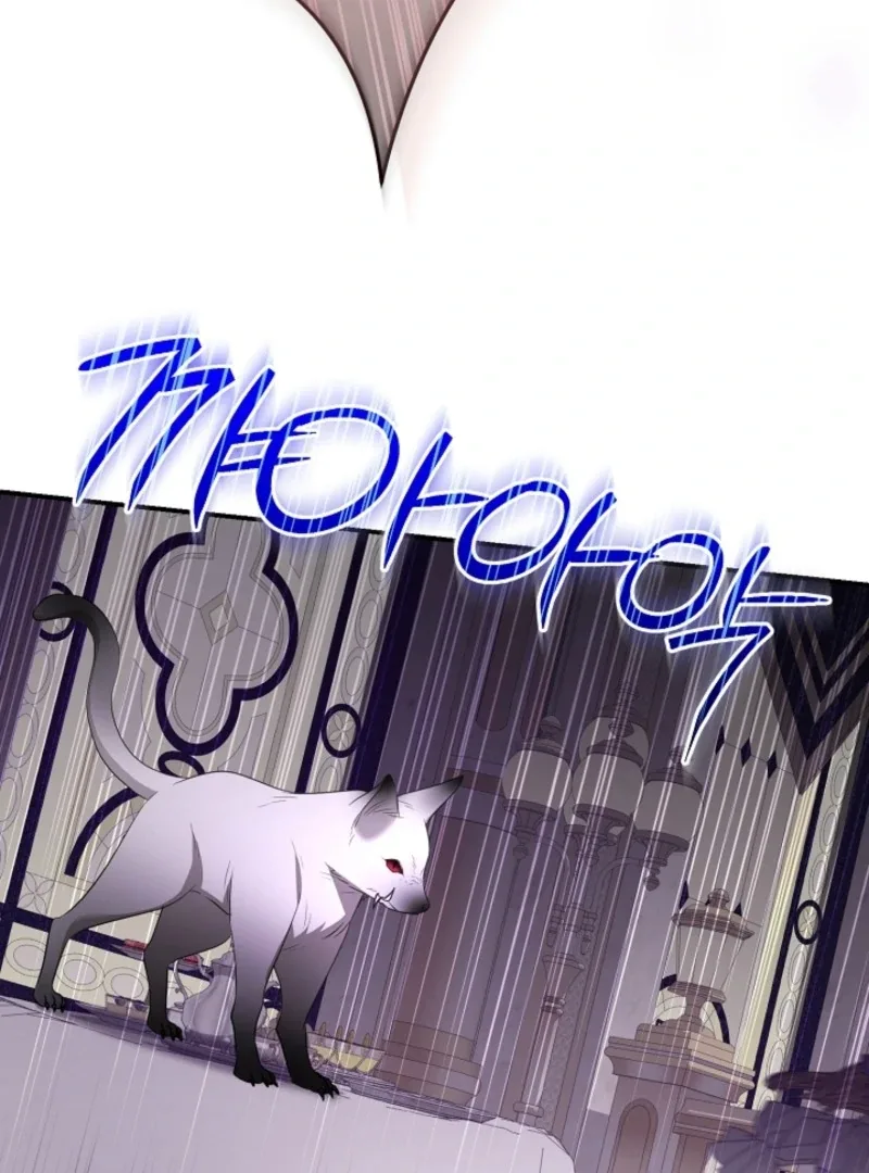 She Wasn’t My Daugther Chapter 42 page 11