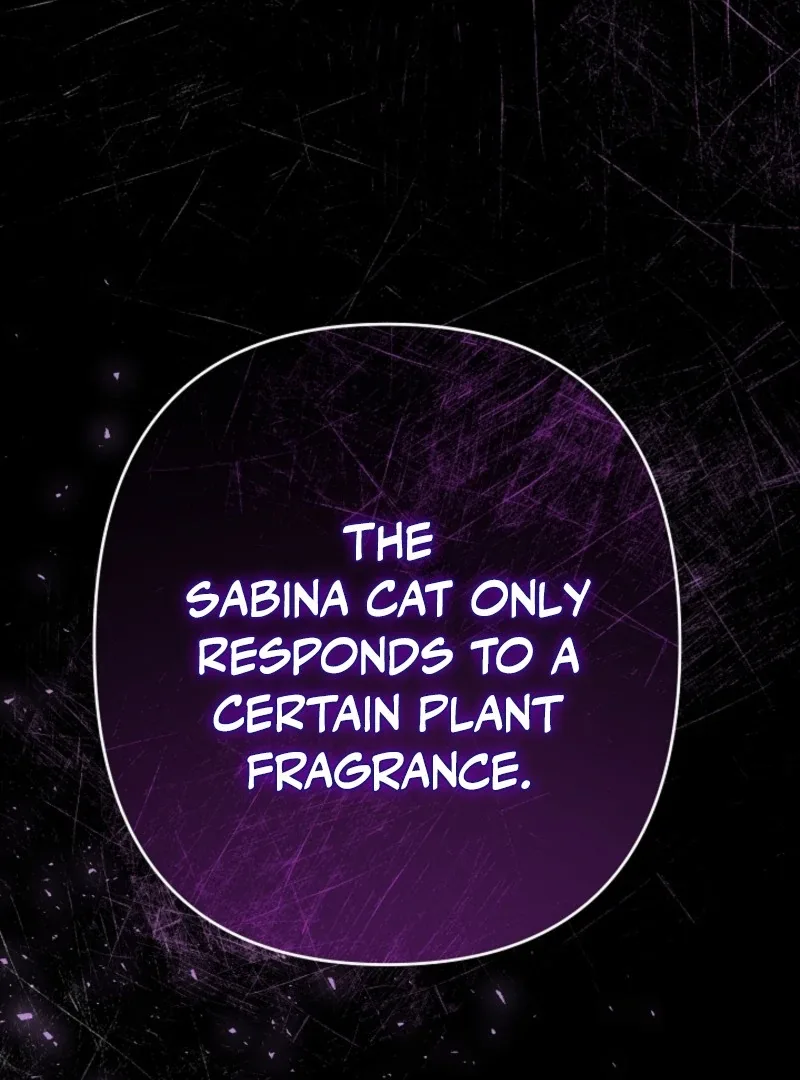 She Wasn’t My Daugther Chapter 42 page 137