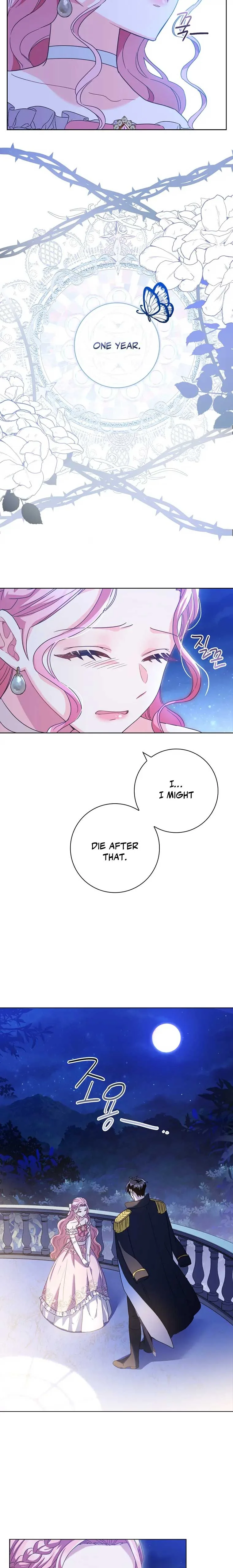 Since My Time is Limited, I’m Entering A Contract Marriage Chapter 1 page 8