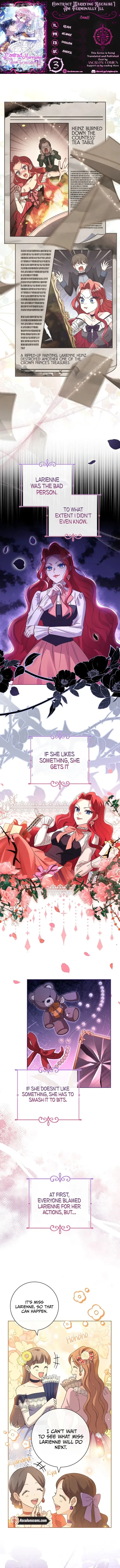 Since My Time is Limited, I’m Entering A Contract Marriage Chapter 3 page 2
