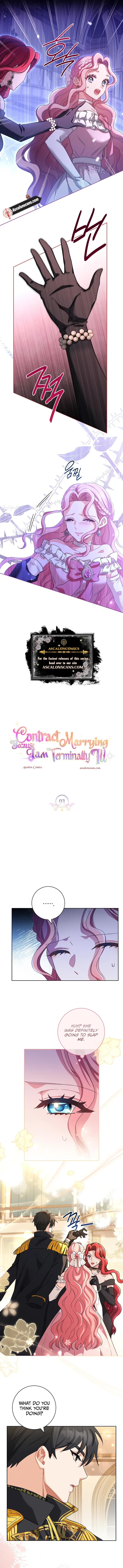 Since My Time is Limited, I’m Entering A Contract Marriage Chapter 3 page 6