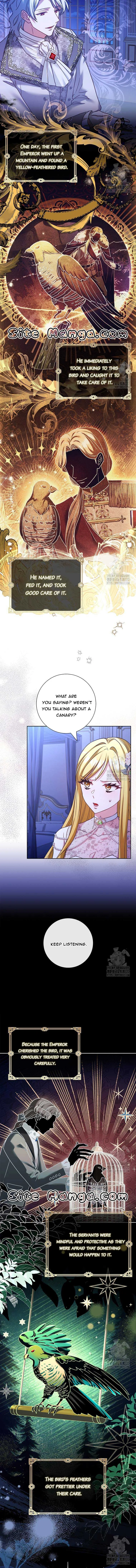 Since My Time is Limited, I’m Entering A Contract Marriage Chapter 23 page 9