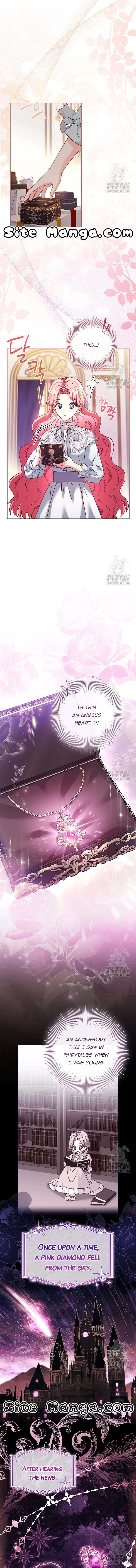 Since My Time is Limited, I’m Entering A Contract Marriage Chapter 25 page 5