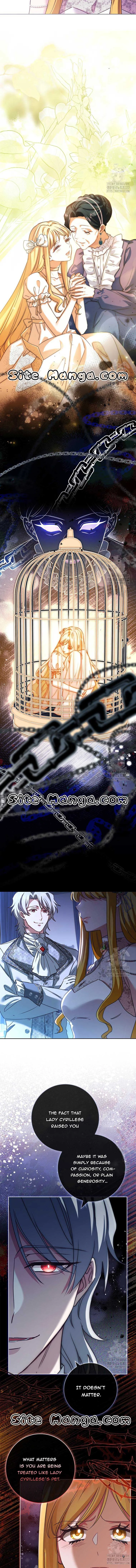 Since My Time is Limited, I’m Entering A Contract Marriage Chapter 23 page 12