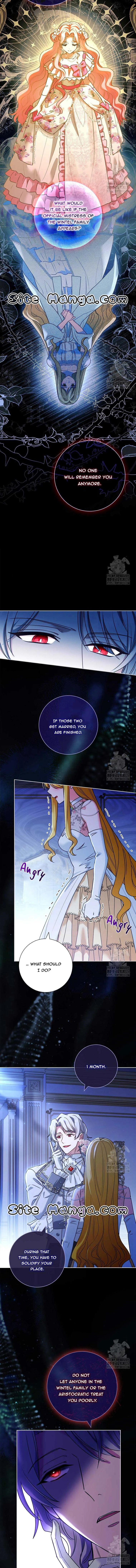 Since My Time is Limited, I’m Entering A Contract Marriage Chapter 26 page 3