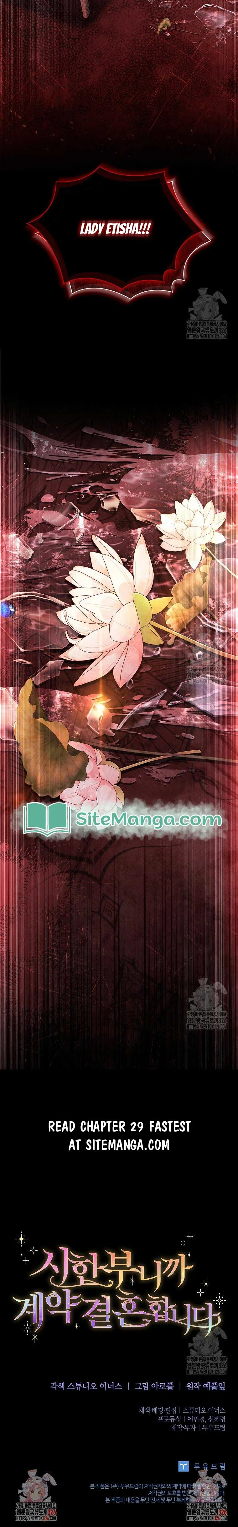 Since My Time is Limited, I’m Entering A Contract Marriage Chapter 28 page 15