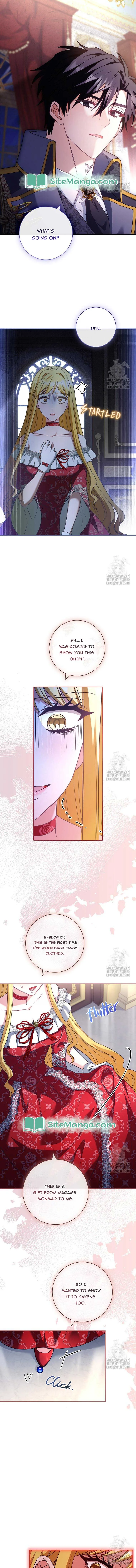 Since My Time is Limited, I’m Entering A Contract Marriage Chapter 29 page 7