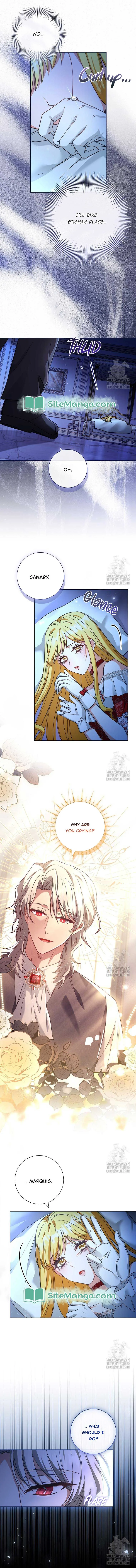 Since My Time is Limited, I’m Entering A Contract Marriage Chapter 29 page 12