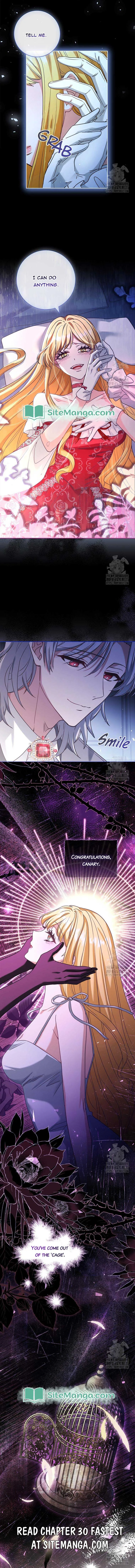 Since My Time is Limited, I’m Entering A Contract Marriage Chapter 29 page 13